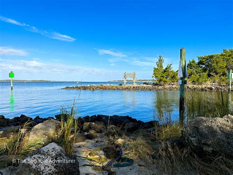 Carolina Beach State Park - The Sociable Adventurer