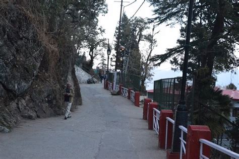 The Camel Rock (Mussoorie) - What to Know Before You Go (with Photos ...