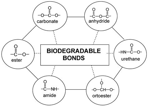 Covalent Polymer-Drug Conjugates