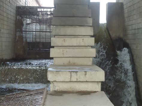 Narora Barrage, fish ladder, Ganga and memories – SANDRP