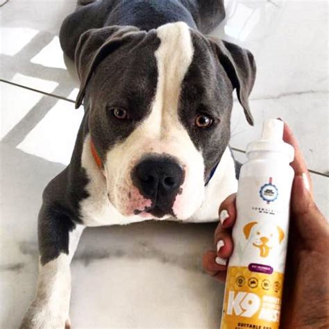 Buy Natural Dog Grooming Products Online At Petlogix | LBB