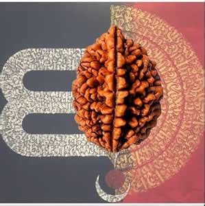 Cuonna Gems Gallery Natural & Pure Two Faced Do Mukhi Rudraksha ...