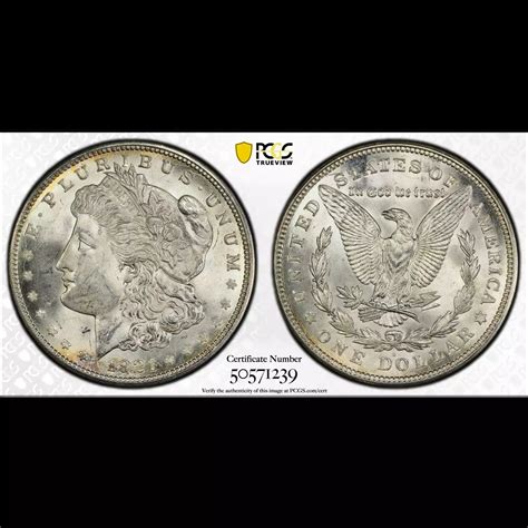 1921-D Morgan Silver Dollar PCGS MS-64 - Old Pueblo Coin
