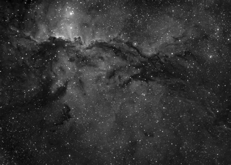 Black And White Stars Photos, Download The BEST Free Black And White ...