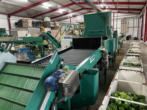 Image result for Greefa Sorting Machine
