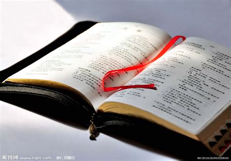 圣经中英文对照-和合本NIV