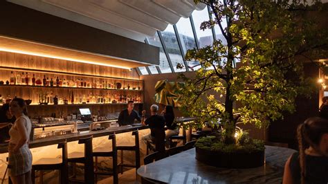 Tanuki, Double Bay Review