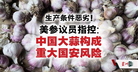 生产条件恶劣！美参议员指控：中国大蒜构成重大国安风险 - 国际 - 即时国际
