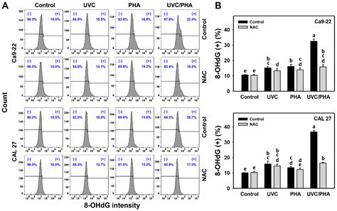 Combined Treatment (Ultraviolet-C/Physapruin A) Enhances ...