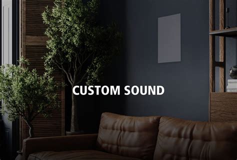 Image result for Advanced Custom Sound