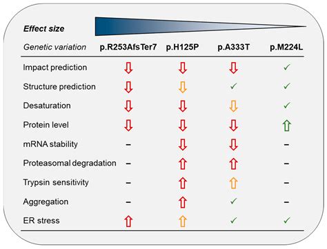 Severity Ranking of Missense and Frameshift Genetic Variants in SCD1 by ...