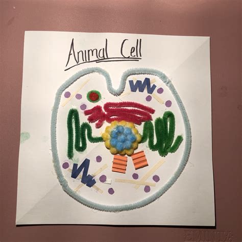 Image result for Styrofoam 3D Cell Model