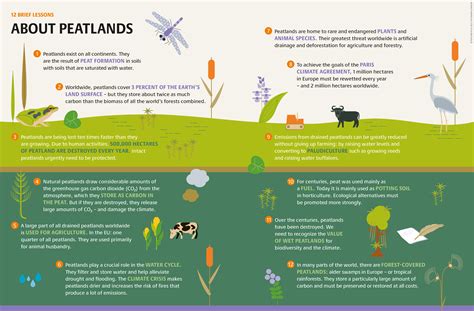 Succow Stiftung | Peatland Atlas