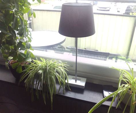 Image result for Window Light Programmable