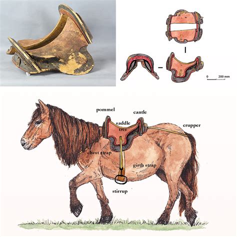 How To Use Horse Saddles at Brandon Myers blog