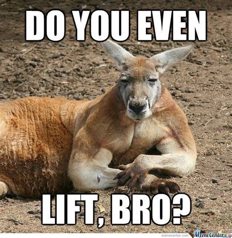 Hop-Along Partner: The Kangaroo’s Joyful Companion