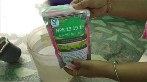 Water Soluble Fertilizers - Shriram NOP 13:00:45 Water Soluble ...
