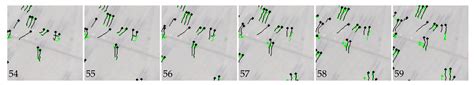 Multiple Pedestrians and Vehicles Tracking in Aerial Imagery Using a ...