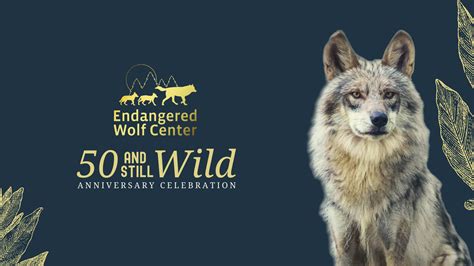 Endangered Wolf Center Tickets