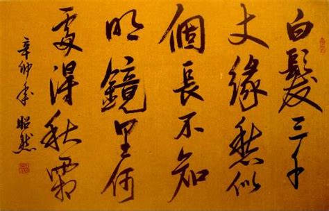 lab at shandong university四川谢昭然硬笔书法作品欣赏 - 第5页