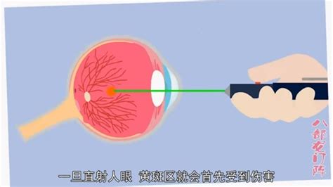 一个实验告诉你，为什么不能用激光笔直射眼睛？ 看完要注意了！ - YouTube