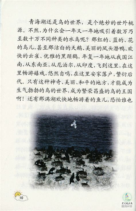 《青海湖，梦幻般的湖》电子教材