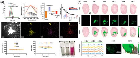 Progress in Nano-Biosensors for Non-Invasive Monitoring of Stem Cell ...