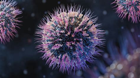 Epstein Barr Virus