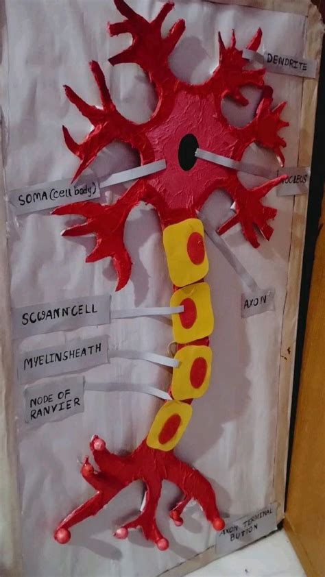 Image result for Neuron Project with Thread