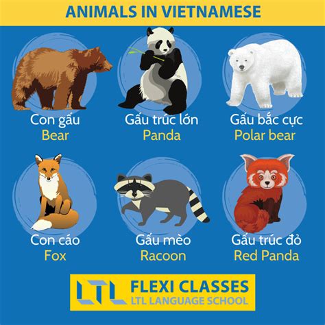170+ Animals in Vietnamese 🦁 // Ultimate Vocab Guide & QUIZ - wildlife in vietnam