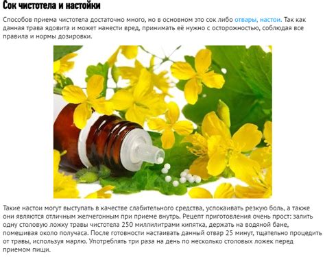 Чистотел: от чего помогает, лечебные свойства, противопоказания и ...