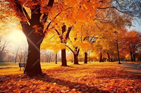 Image result for Beautiful Autumn Fall