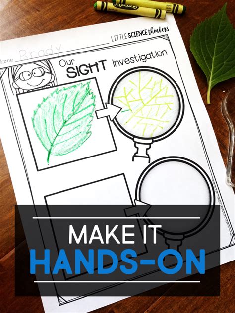 Kindergarten Science Method 的图像结果