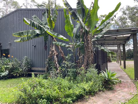 Best camping near Honeymoon Bay, NSW, AU: 12 Best Campgrounds 2026 ...