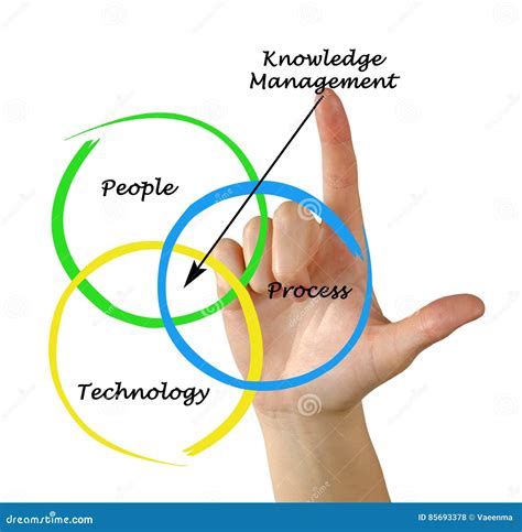 Image result for Knowledge Management Diagram