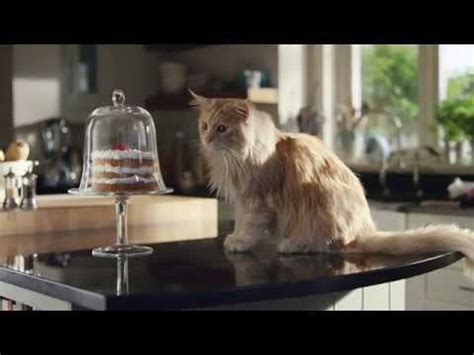 Image result for New O2 Advert Music