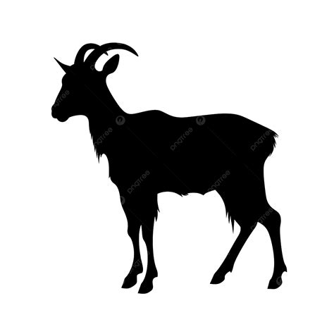 Image result for Best WA. Some Python Projects