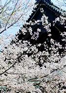 THE NORTH FACE ノースフェイス ND91840 Baltro Light Jacket バルトロ ライト ジャケット ダウン ...