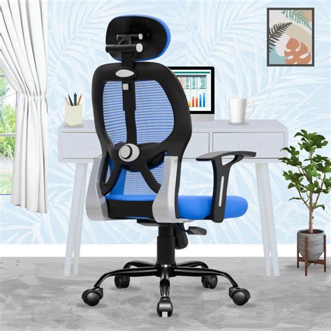 Leo Ergonomically Adjustable Executive High Back Mesh Home & Office Re