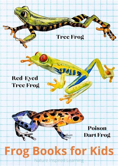 Image result for Types of Tree Frogs