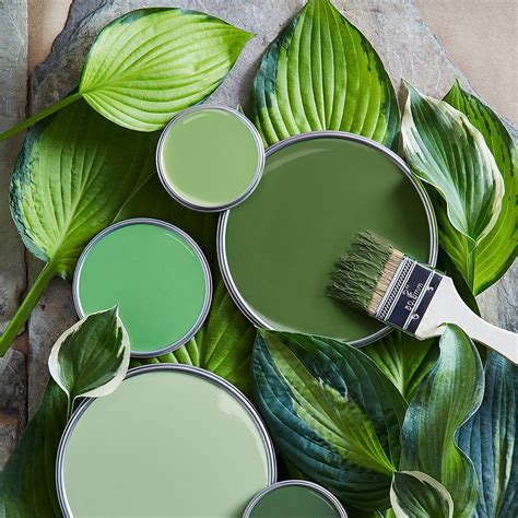 Picking The Perfect Shade Of Warm Green Paint Color For Your Home ...