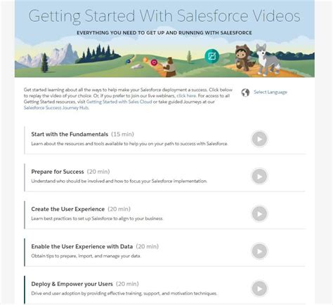 Image result for Salesforce Basic Tutorial