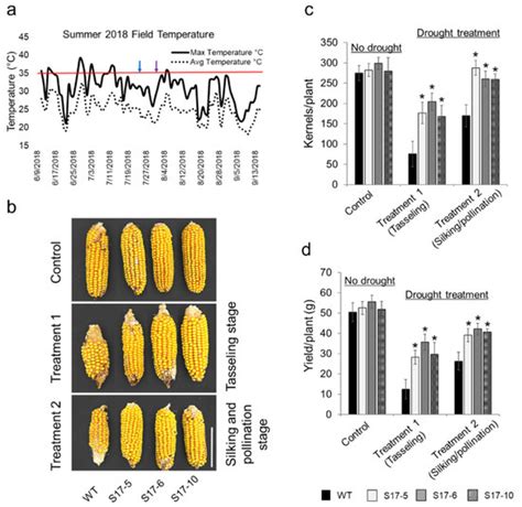 IJMS | Special Issue : Novel Approaches to Improve Abiotic Stress ...
