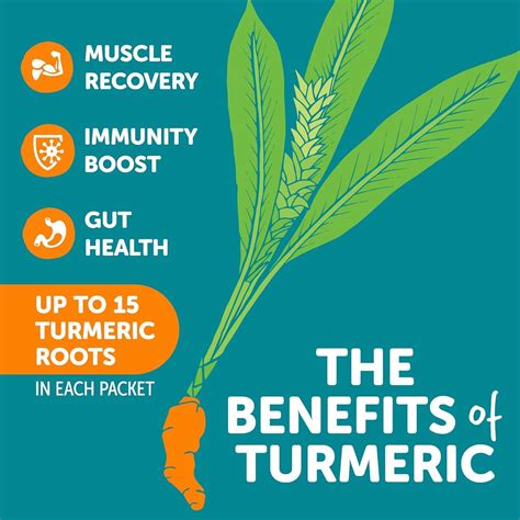 ZYN Electrolytes Powder Hydration Packets with India | Ubuy