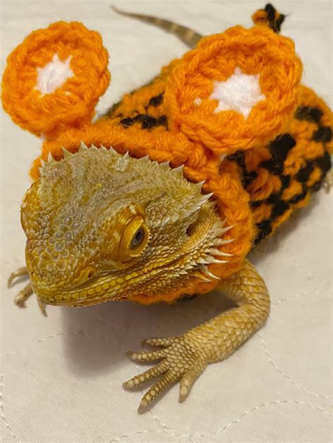 Crocheted Adult Tigger Bearded Dragon Costume Bearded Dragon Costume ...