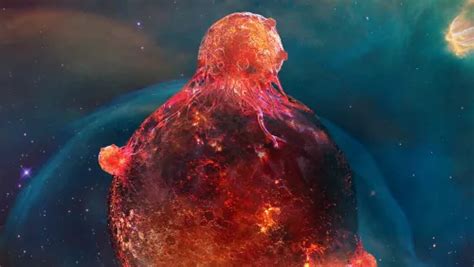 Image result for Cancer Earth SignUpGenius