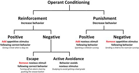 Image result for Negative Reinforcement Examples