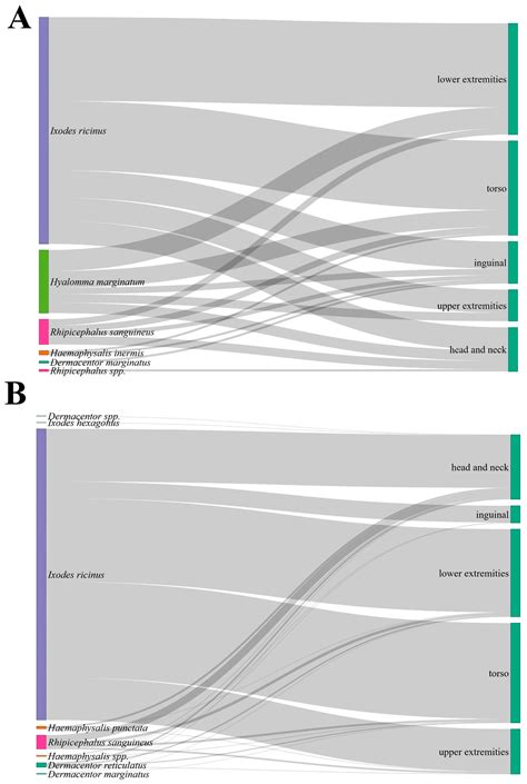 Dominance of Ixodes ricinus and Emergence of Hyalomma marginatum Among ...
