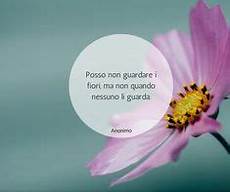 immagini sui fiori 27 fantastiche immagini su frasi sui fiori nel 2019 immagini sui fiori 27 fantastiche immagini su frasi sui fiori nel 2019