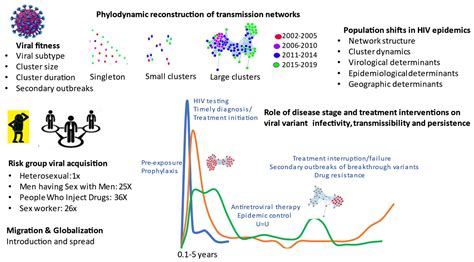 Phylogenetic Insights on Patterns of HIV-1 Spread and the Design of ...